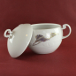 Preview: Rosenthal asimmetria Goldblume