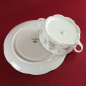 Preview: rosenthal monbijou grüne Ranke